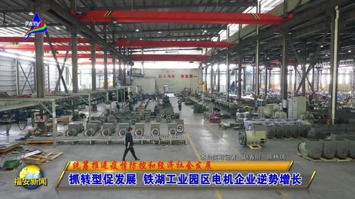 抓轉型促發展 鐵湖工業園區電機企業逆勢增長