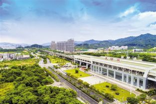 998家國家級高新技術產業,220個工業園區,2019年,光明區又干了一件大事