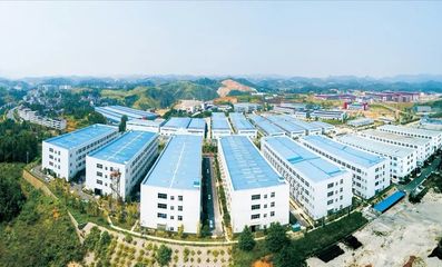 大龍開發區:聚力新型工業化 推動工業大突破